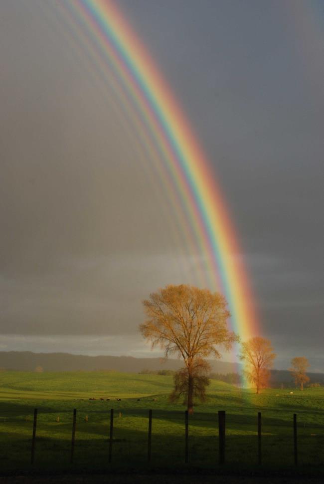 Collection of the most beautiful rainbow images