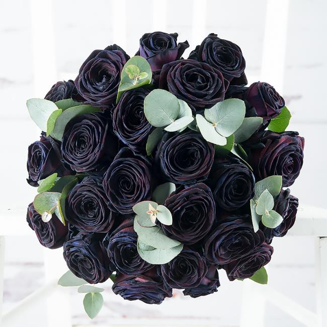 Collection of the most beautiful black roses pictures