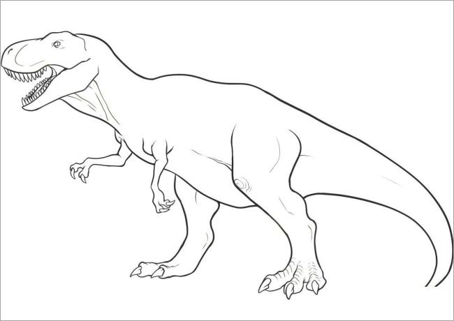 Collection of beautiful dinosaur coloring pages