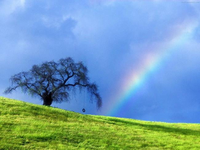 Collection des plus belles images arc-en-ciel