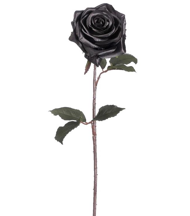 最も美しい黒いバラの写真のコレクション