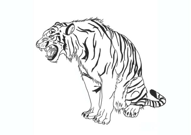 Koleksi gambar mewarnai harimau yang paling indah