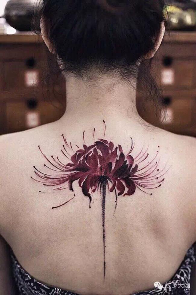 Coleção dos mais belos padrões de tatuagem de flor de azevinho
