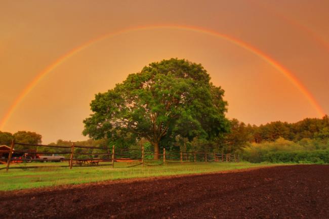 Coleção das mais belas imagens do arco-íris