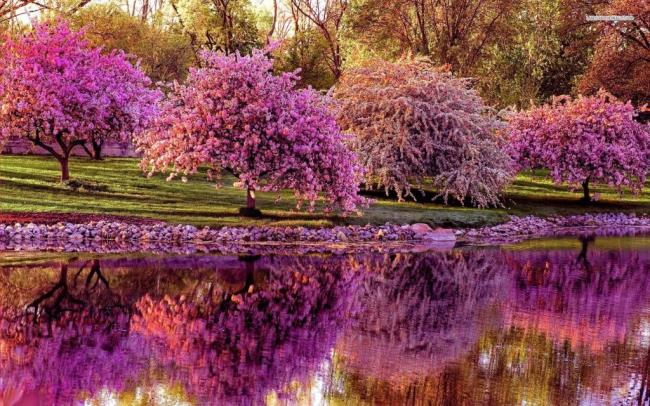 Synthesis of the most beautiful spring image