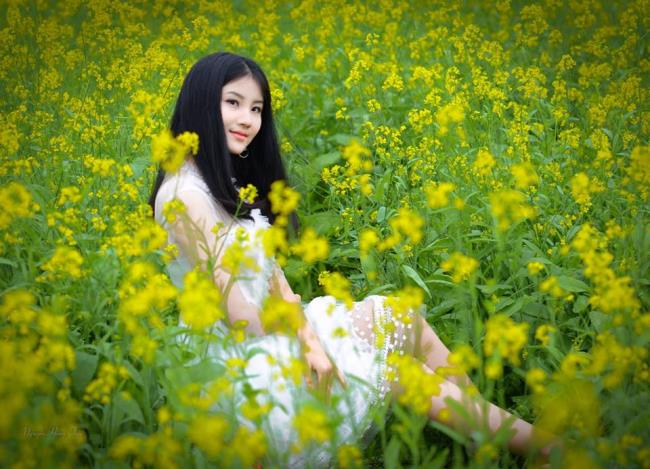 Combiner des images de la plus belle fleur de moutarde jaune