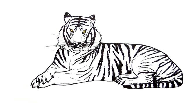 Collection of the most beautiful tiger coloring pictures