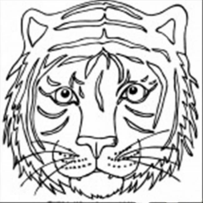 Collection of the most beautiful tiger coloring pictures