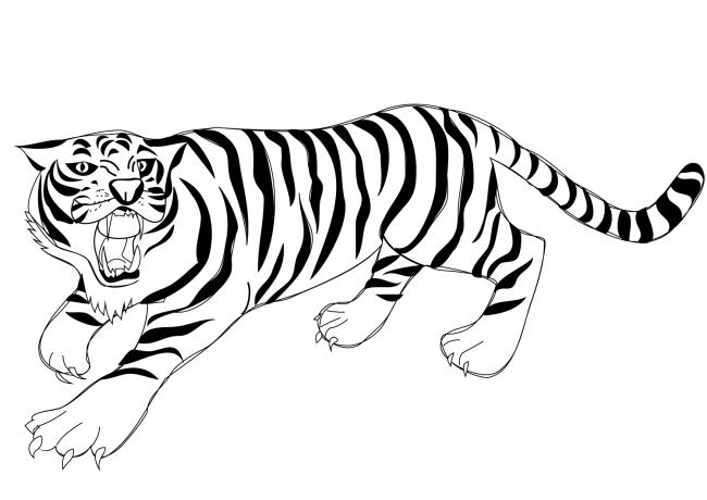 Collection of the most beautiful tiger coloring pictures