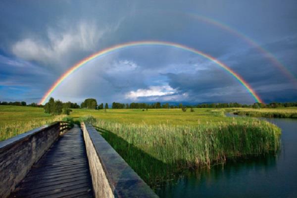 Verzameling van de mooiste regenboogafbeeldingen