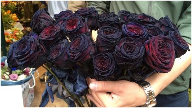 Raccolta delle più belle immagini di rose nere
