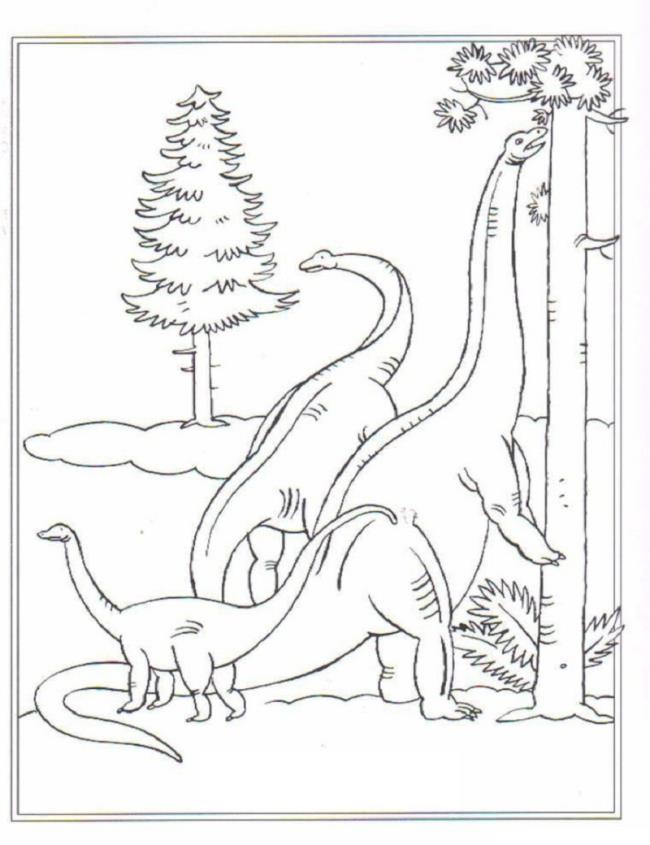 Collection of beautiful dinosaur coloring pages