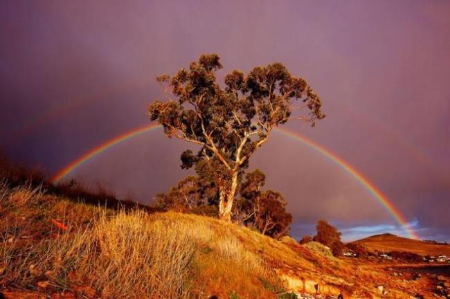 Collection of the most beautiful rainbow images