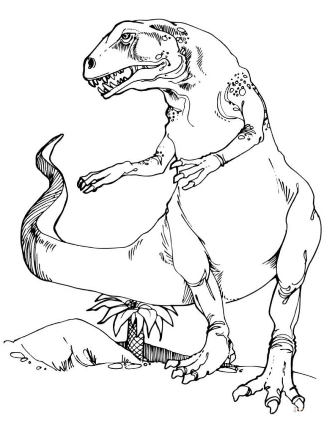 Collection of beautiful dinosaur coloring pages