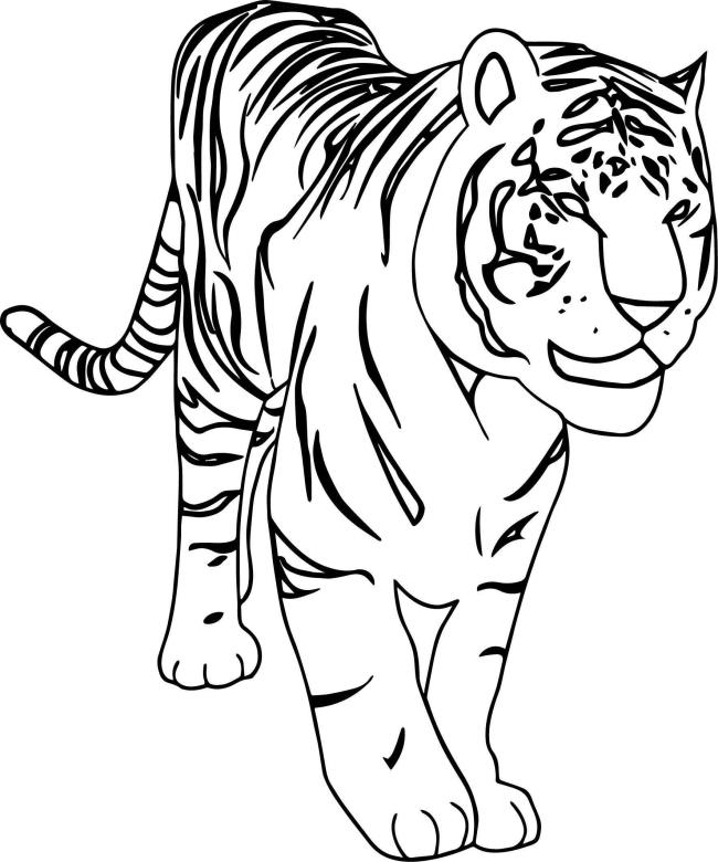 Collection of the most beautiful tiger coloring pictures