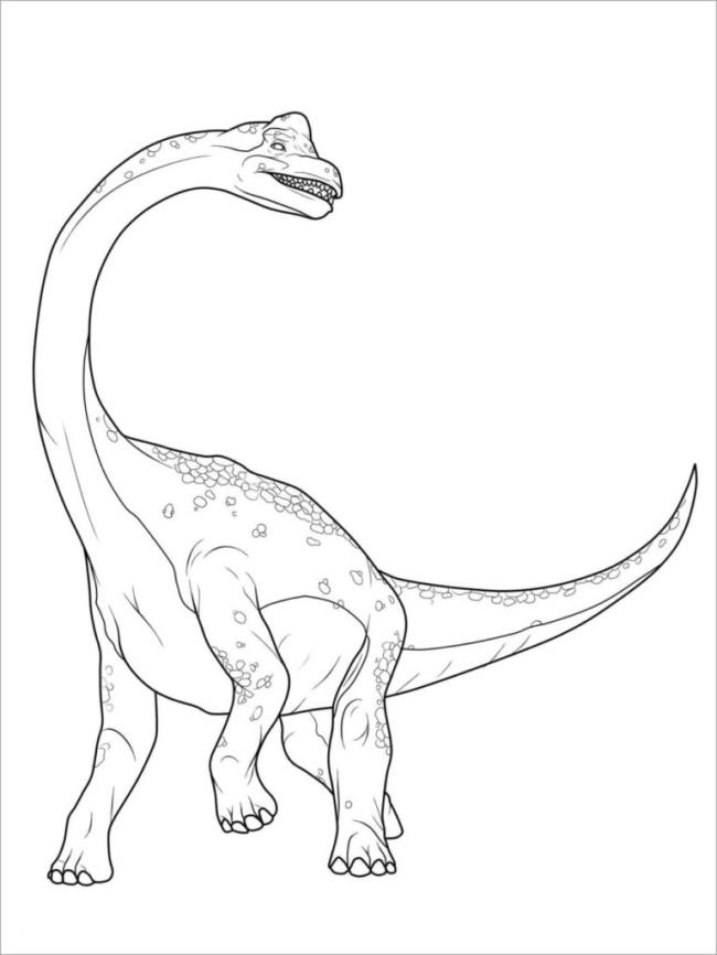 Collection of beautiful dinosaur coloring pages