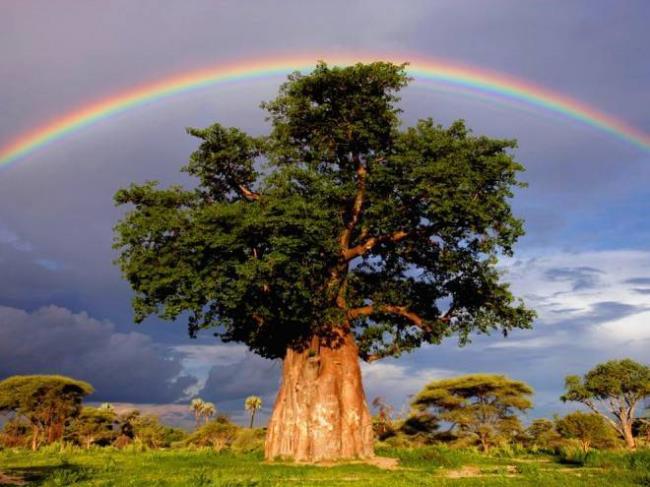 Coleção das mais belas imagens do arco-íris