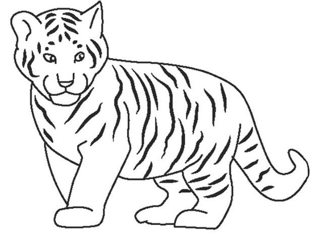 Collection of the most beautiful tiger coloring pictures