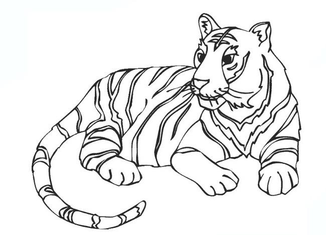 Colección de las imágenes para colorear de tigre más bellas