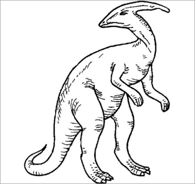 Collection of beautiful dinosaur coloring pages