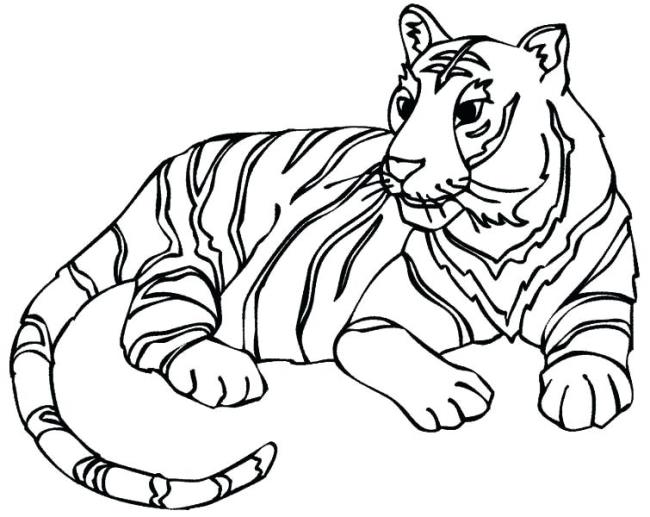 Collection of the most beautiful tiger coloring pictures