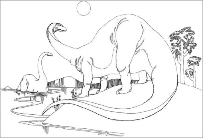 Collection of beautiful dinosaur coloring pages