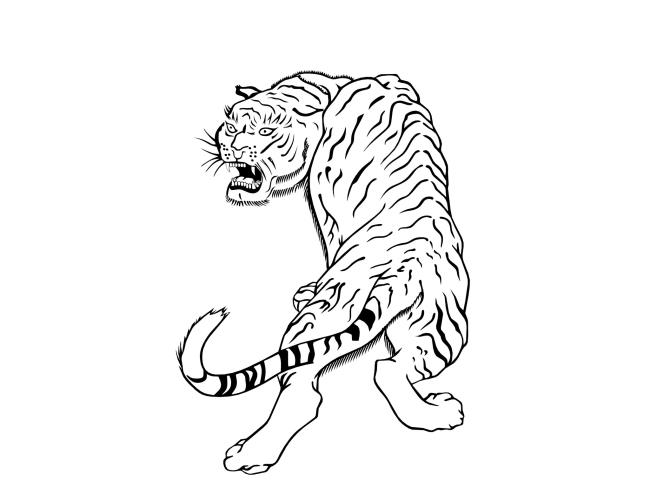 Collection of the most beautiful tiger coloring pictures