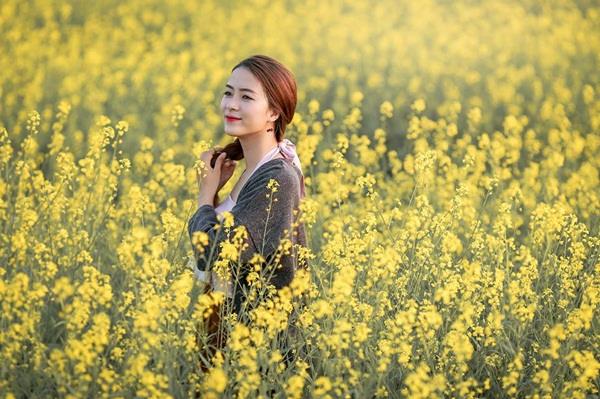 ترکیب تصاویر زیباترین گل خردل زرد