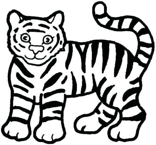 Collection of the most beautiful tiger coloring pictures