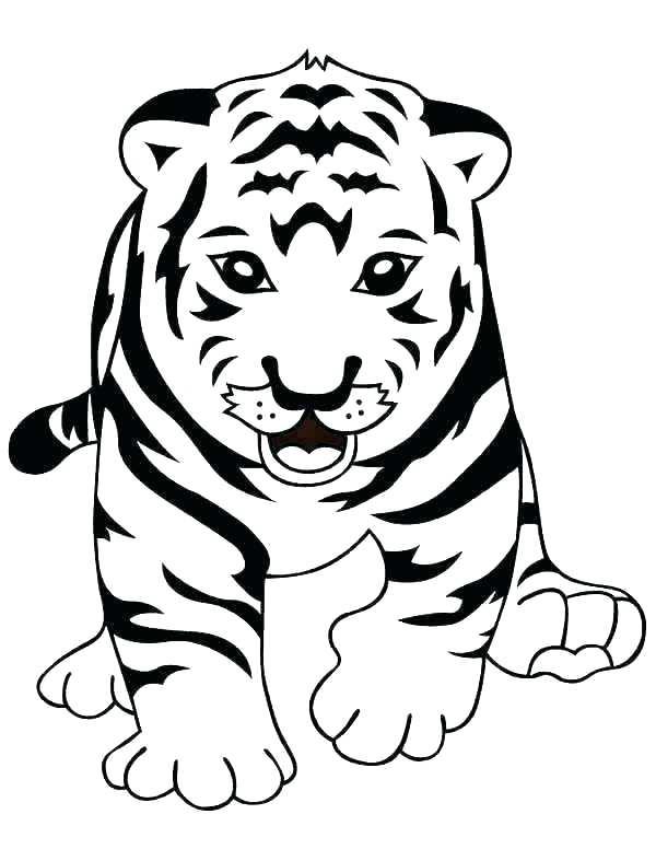 Collection of the most beautiful tiger coloring pictures