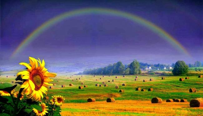 Collection of the most beautiful rainbow images