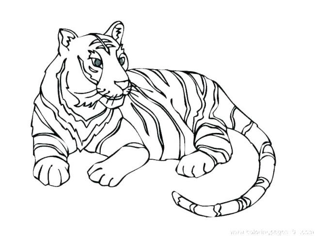 Collection des plus belles images à colorier de tigre