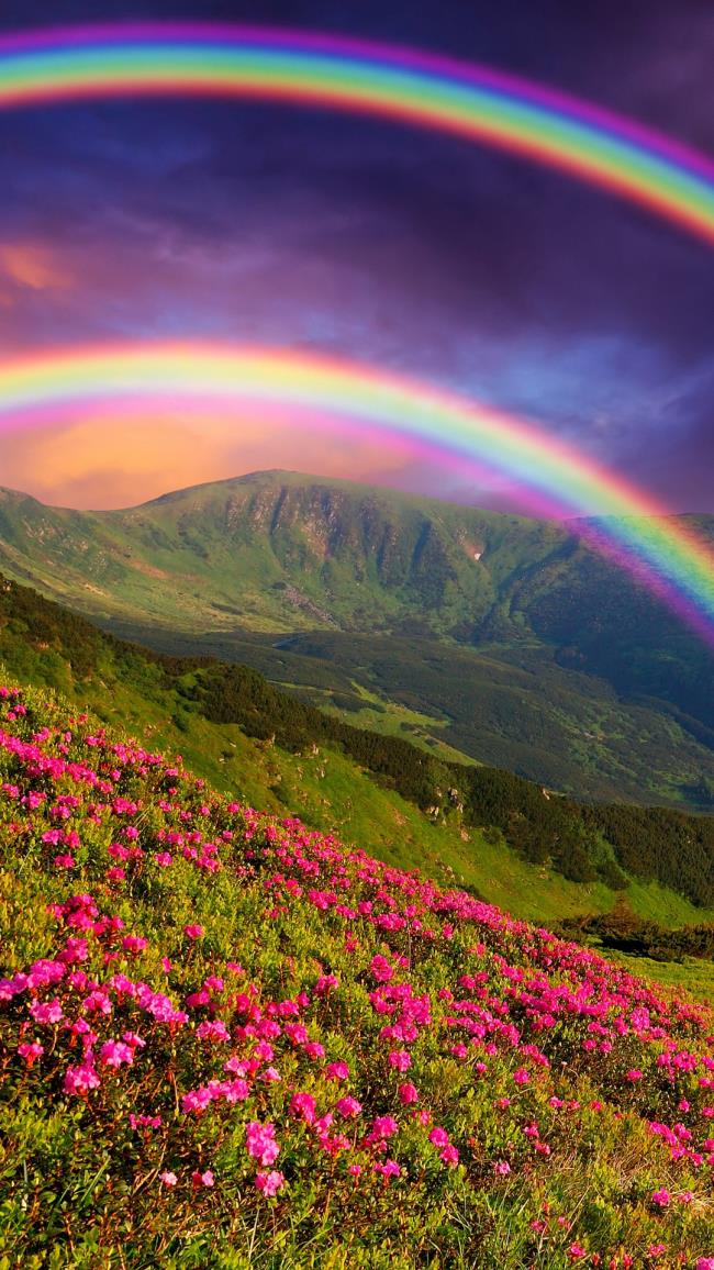 Collection of the most beautiful rainbow images