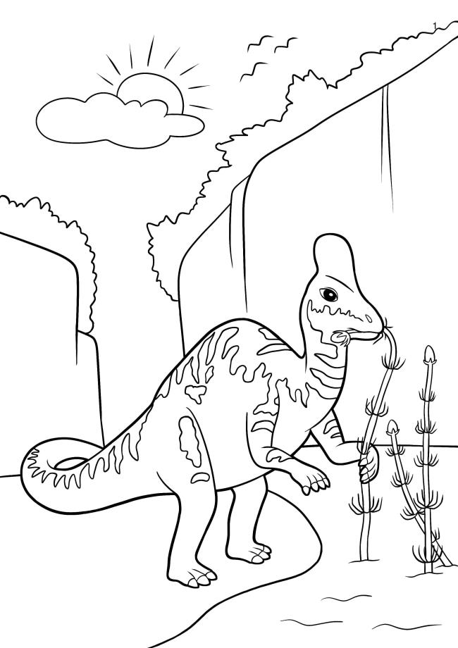 Collection of beautiful dinosaur coloring pages