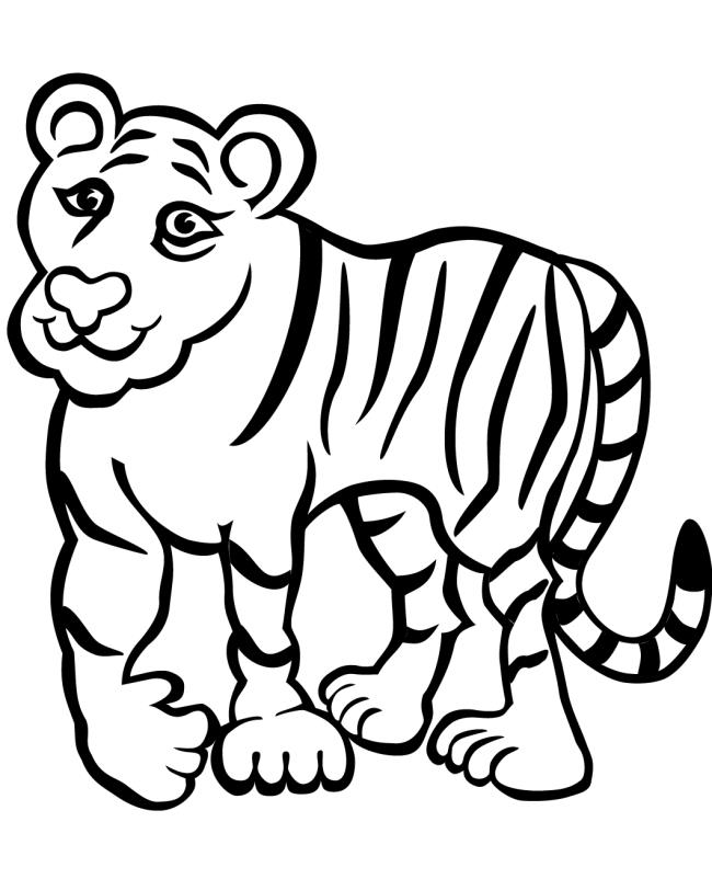 Collection of the most beautiful tiger coloring pictures