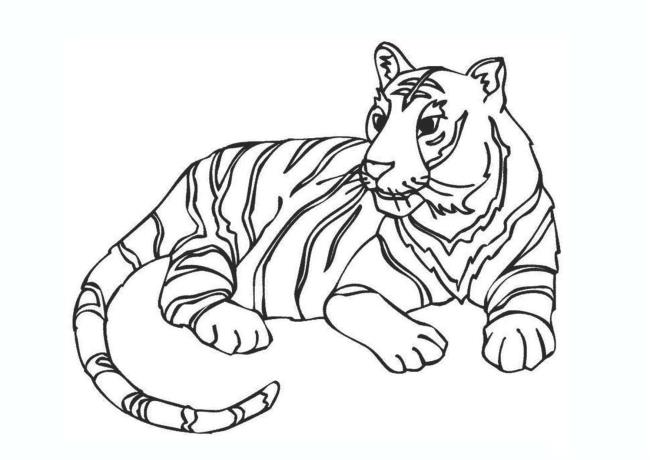 Collection of the most beautiful tiger coloring pictures