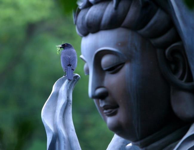 Краткое описание красивых изображений Будды Шакьямуни