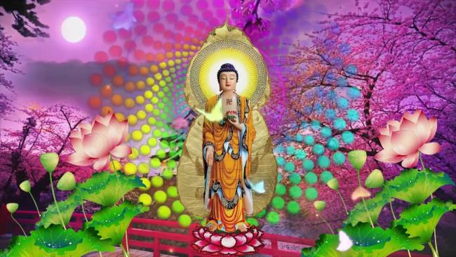 Résumé de belles images de Bouddha Shakyamuni