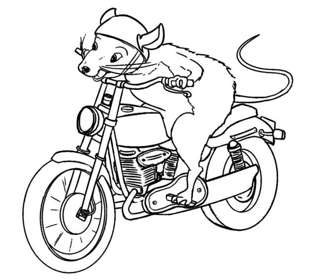 Collection of beautiful motorcycle coloring pictures