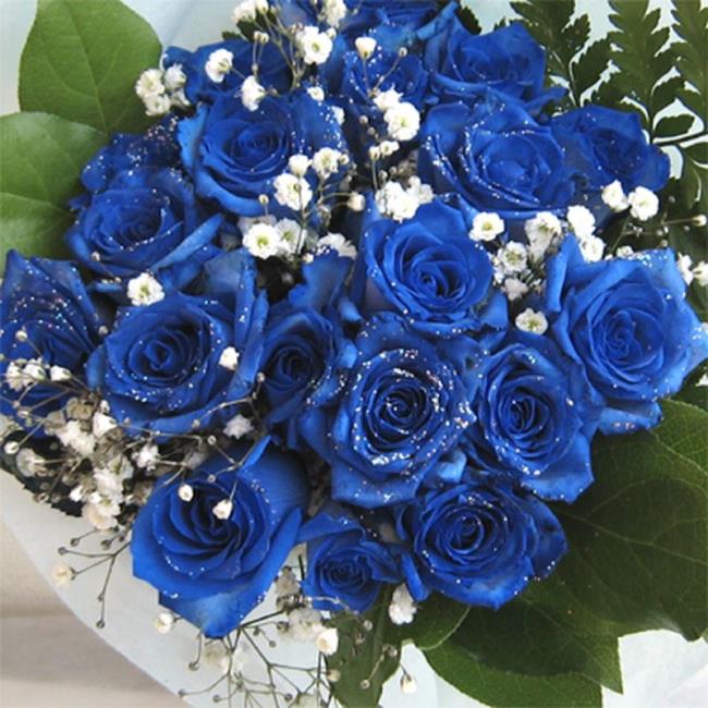 Mawar biru 07