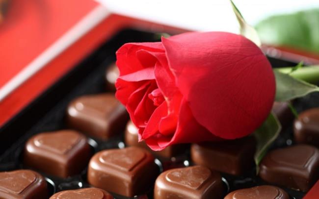 Beautiful chocolate images