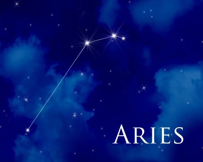 Collection of the most beautiful aries Bow