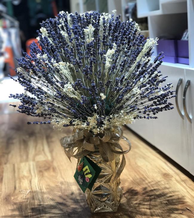 Gambar lavender kering yang indah
