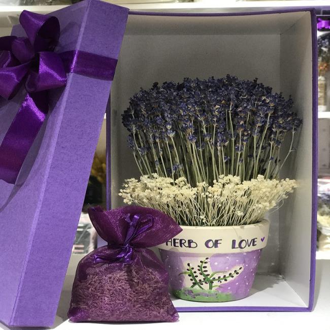 Gambar lavender kering yang indah