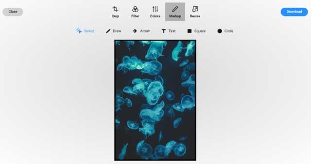 Doka Photo is a fast, easy, and free photo editor