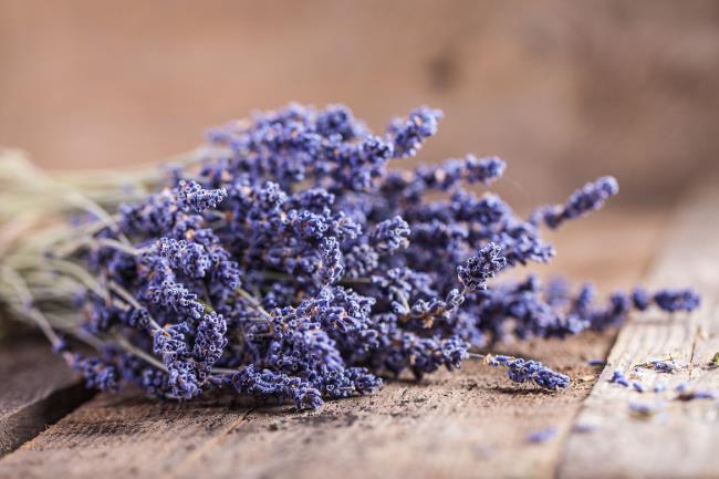 Beautiful dry lavender images