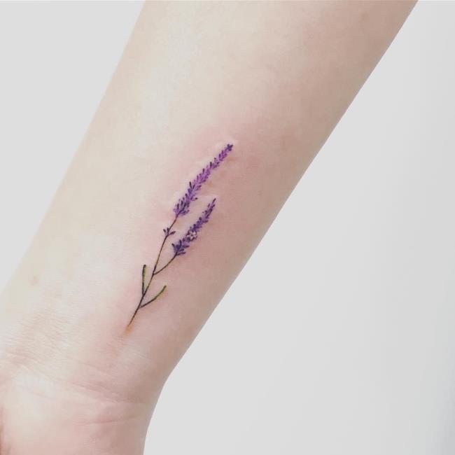 Schöne Lavendel Tattoo Bilder