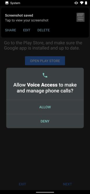 Authorize Voice Access to access the phone
