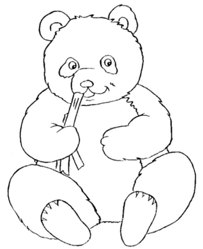Сборник лучших раскрасок для медвежонка
