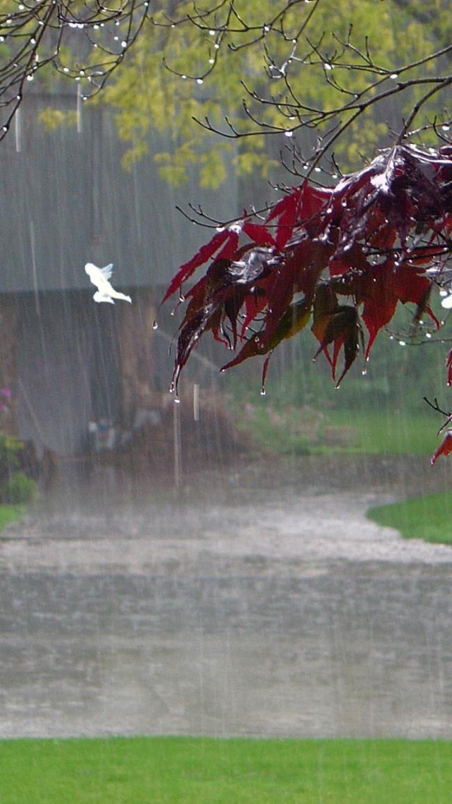 Yağmurda hüzünlü aşk güzel görüntüleri topluluğu